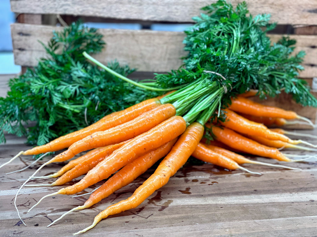 Root Crops